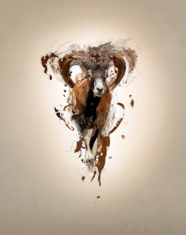 Mouflon, abstract animal concept. Can be used for wallpaper, canvas print, decoration, banner, t-shirt graphic, advertising. Mouflon, abstract animal concept. Can be used for wallpaper, canvas print, decoration, banner, t-shirt graphic, advertising.