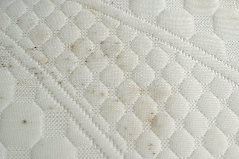 Mould on a Mattress. Black Stains on a White Fabric Stock Photo Image of mildew, dissipate