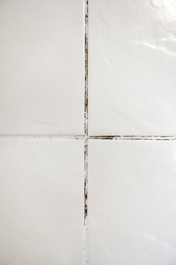 Mould on tiles in a bathroom. royalty free stock photos