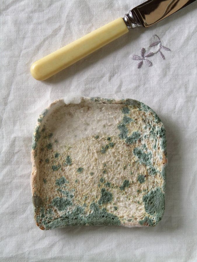 Mouldy Bread