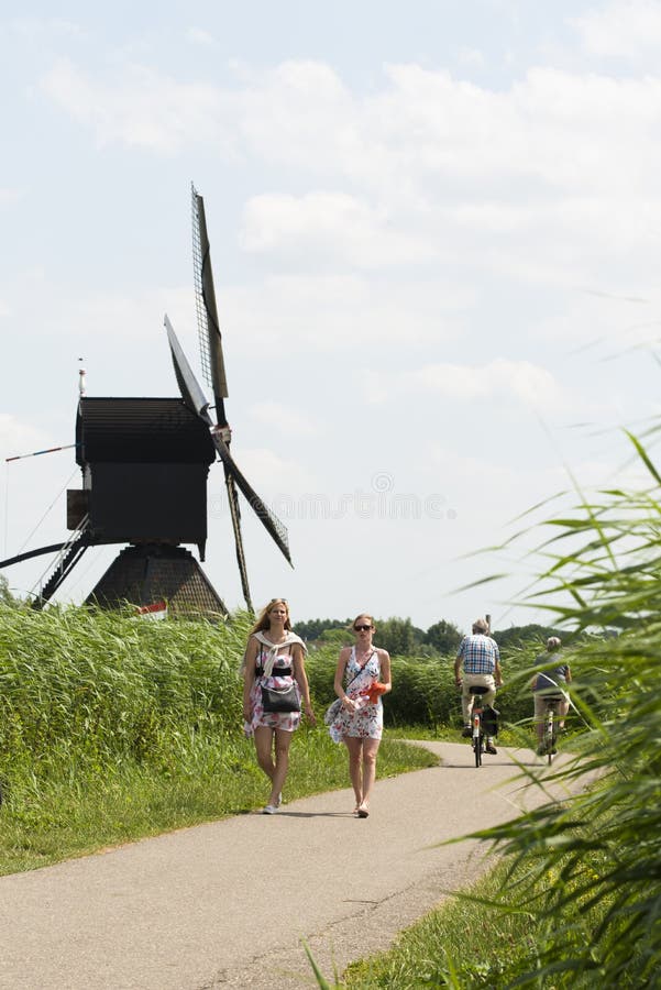 Moulins traditionnels aux Pays-Bas, dans Kinderdijk image stock Moulins traditionnels aux Pays-Bas, dans Kinderdijk image stock
