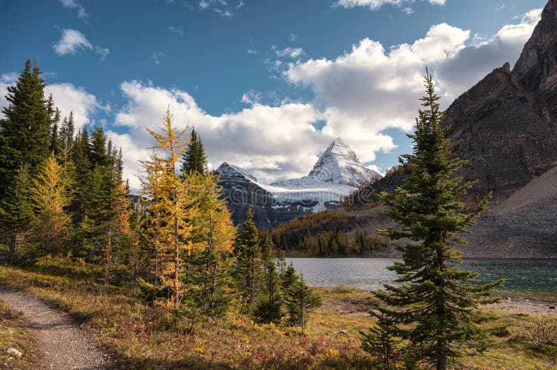 Mount Assiniboine with autumn forest on Lake Magog at provincial park