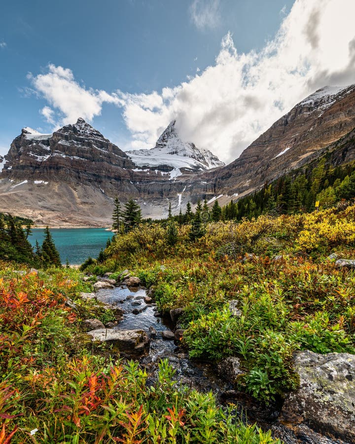 Mount Assiniboine with stream flowing in autumn forest on Lake Magog at national park