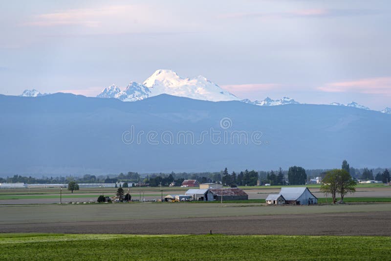 Mount Baker Jutting Over a Farm on a Beautiful Pacific Northwest