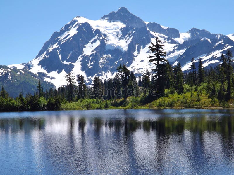 MOUNT BAKER REFLECTION in PICTURE LAKE, WA Stock Image Image of trees