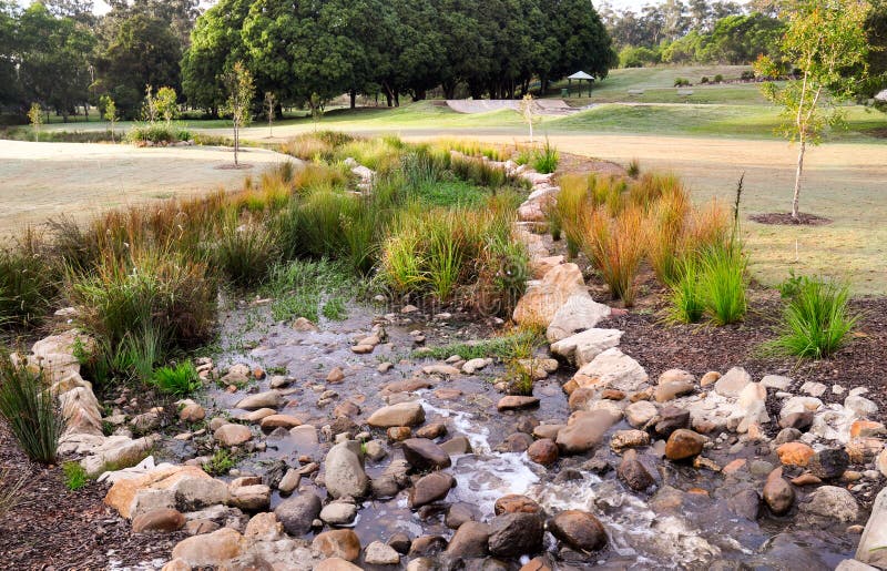 Mount Cotton park stock photo. Image of morning, lake 9911992