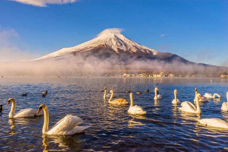 Muntele Fuji japonia. stock photo