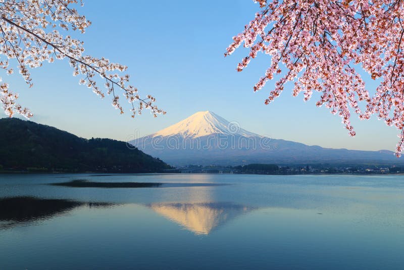 Mount Fuji, view from Lake Kawaguchiko