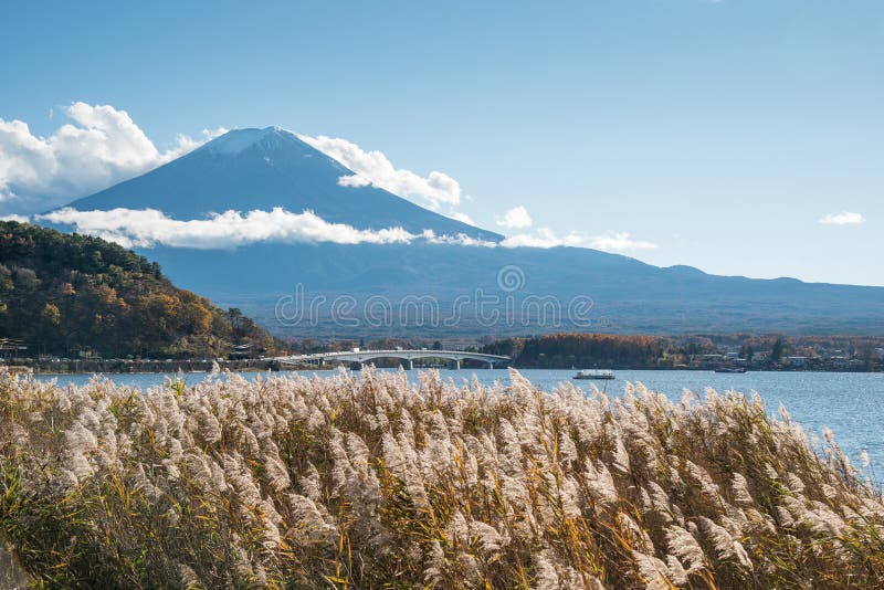 Mount Fuji на озере Kawaguchi, Японии стоковое изображение rf Mount Fuji на озере Kawaguchi, Японии стоковое изображение rf