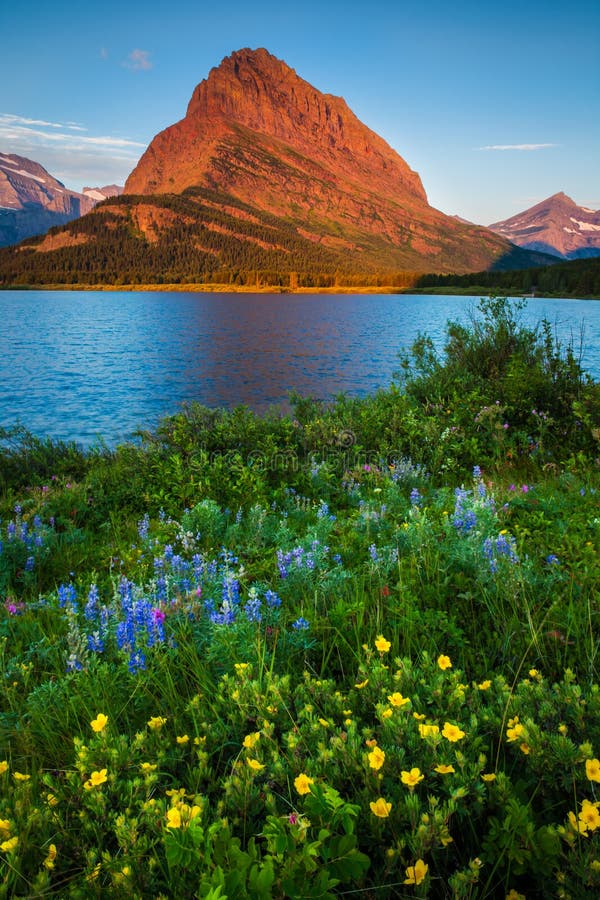 Mount Grinnell at sunrise in the Many Glaciers area of Glacier National Park, Montana