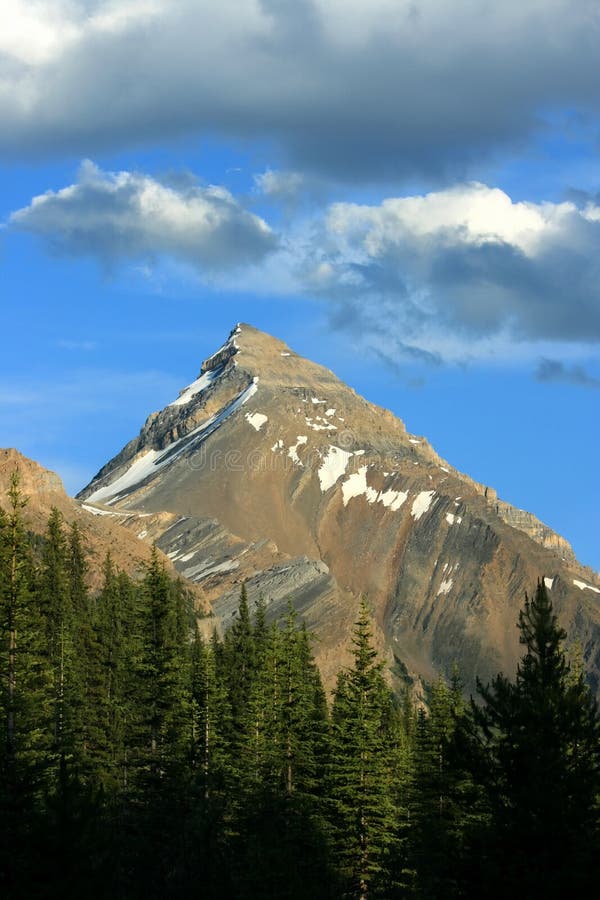 Mount Hector stock photo. Image of canada, canadian, evening 12238004