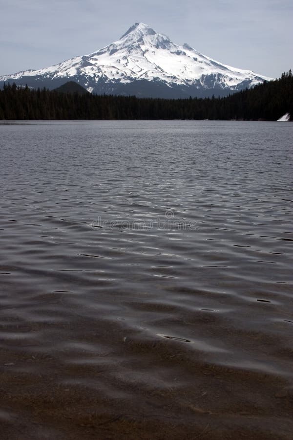 Mount Hood from Lost Lake