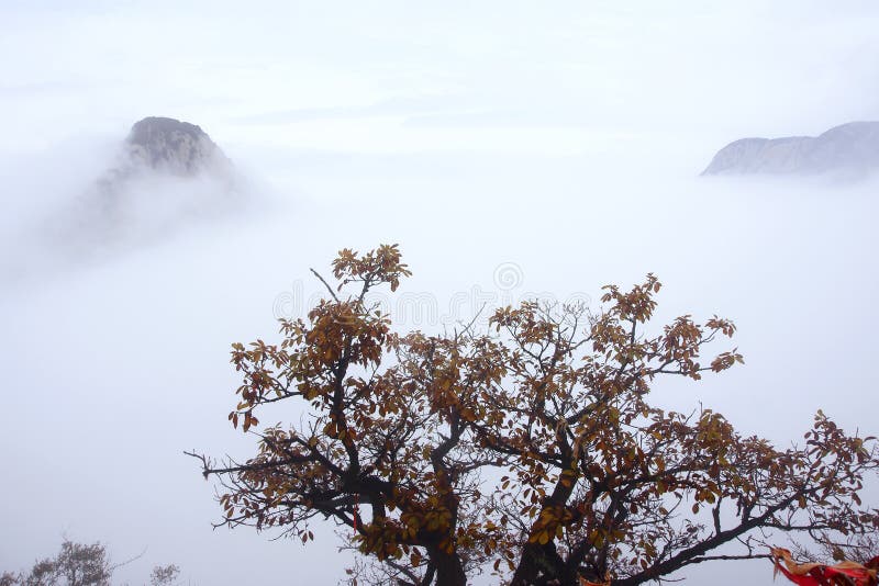 Mount Hua