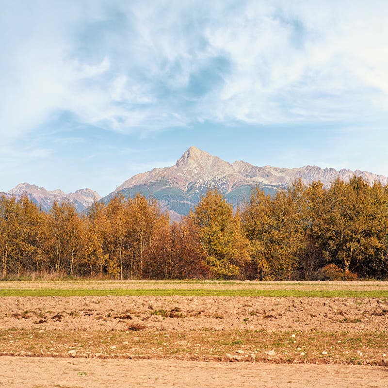 Mount Krivan peak Slovak symbol with blurred autumn coloured trees and dry field in foreground, Typical autumnal scenery