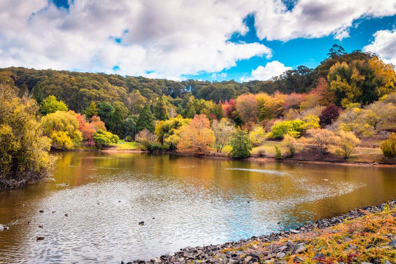 Mount Lofty Botanic Garden during autumn season