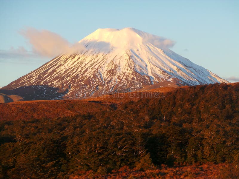 Mount Ngauruho