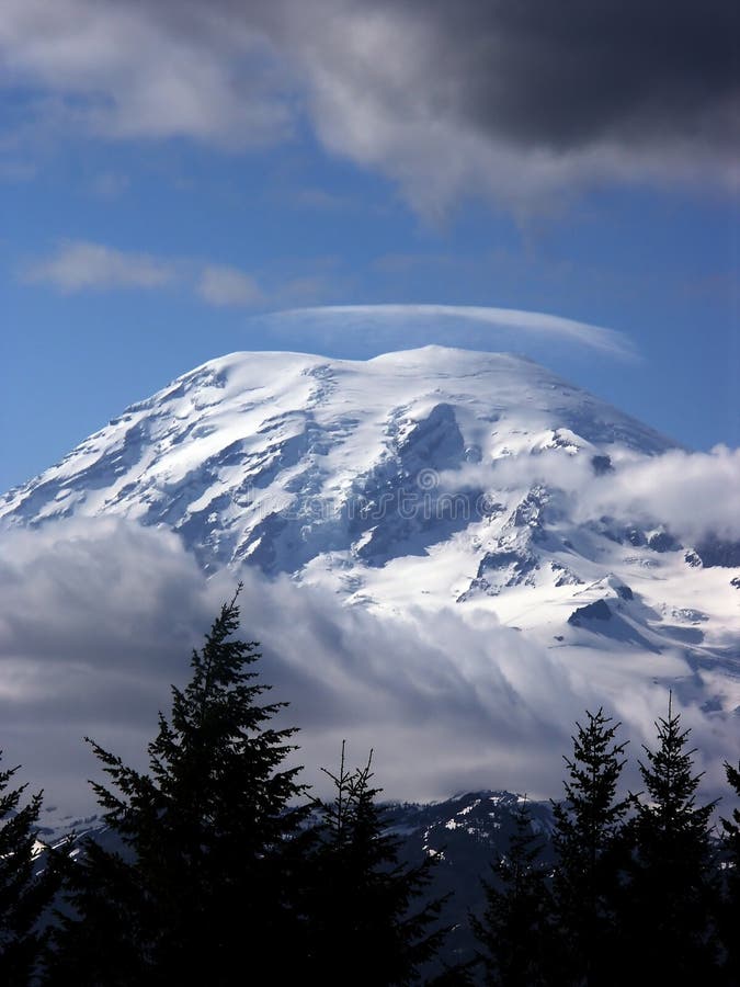 Mount Rainer royalty free stock photos Mount Rainer royalty free stock photos