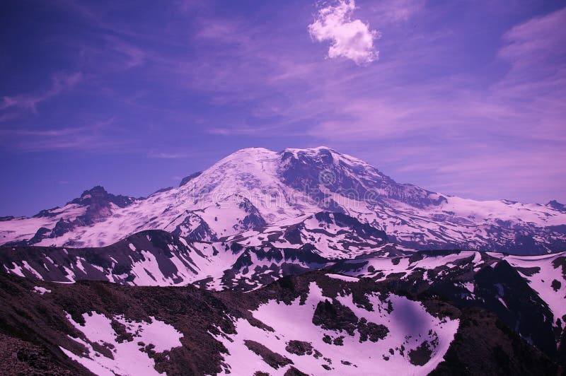 Mount Rainer from the Fremont Trail. stock photo Mount Rainer from the Fremont Trail. stock photo