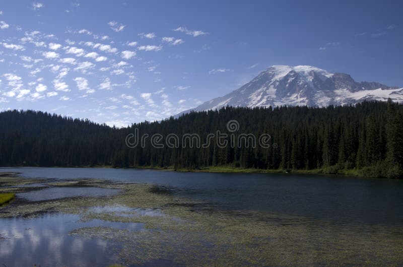 Mount Rainier Louise Lake