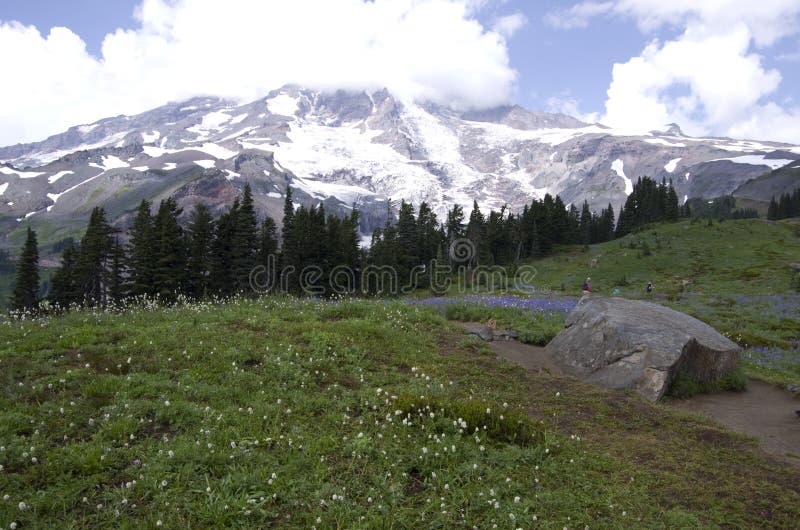 Mount Rainier National Park