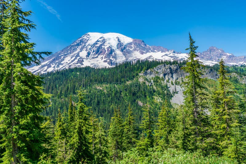Summer Landscape on Mount Rainier Stock Photo Image of blue, colorful