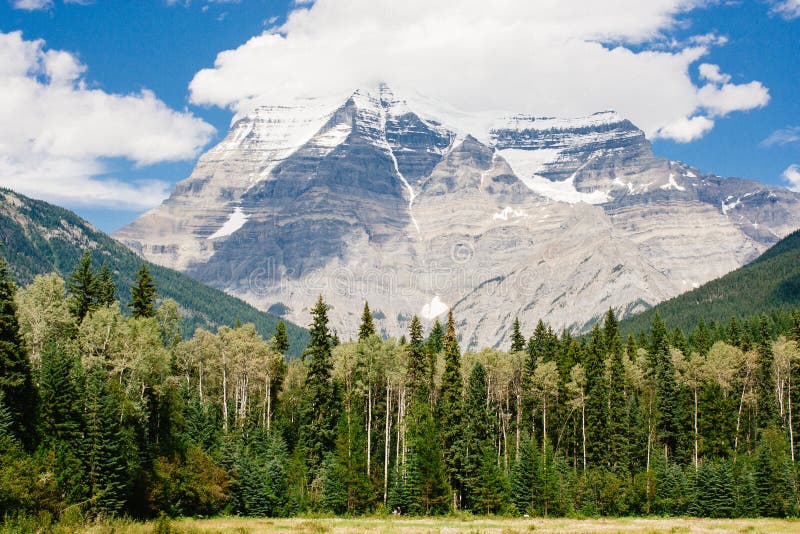 Mount Robson towering over evergreen forest stock photos