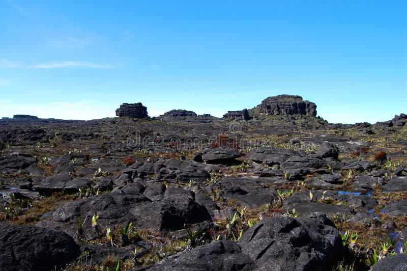 Mount Roraima - Venezuela