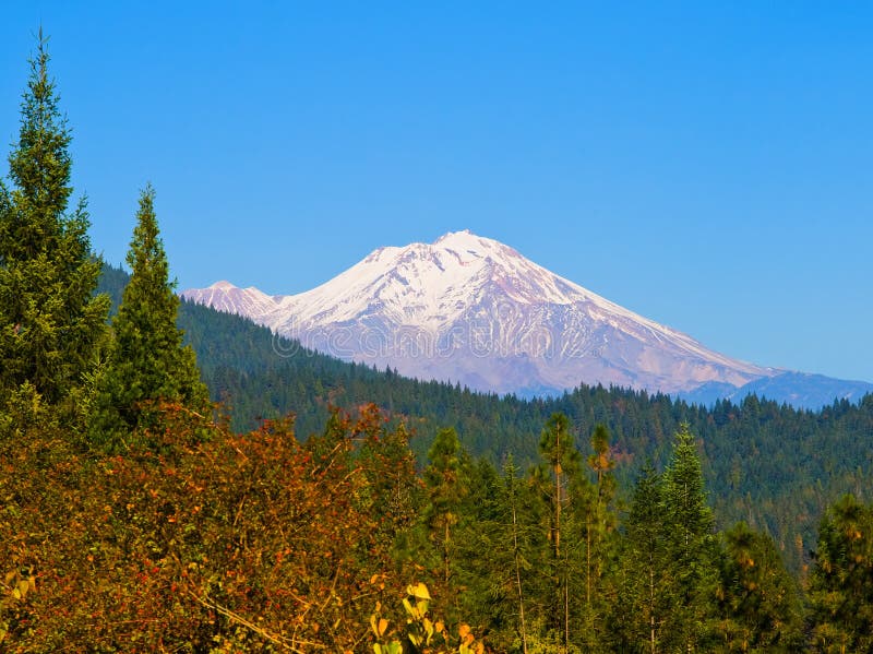 Mount Shasta