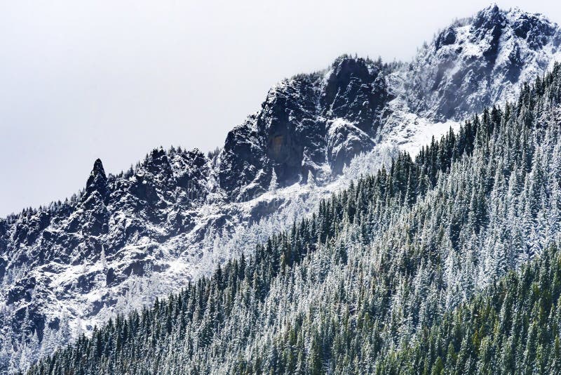 Mount Si Snow Evergreen North Bend Washington Stock Image Image of