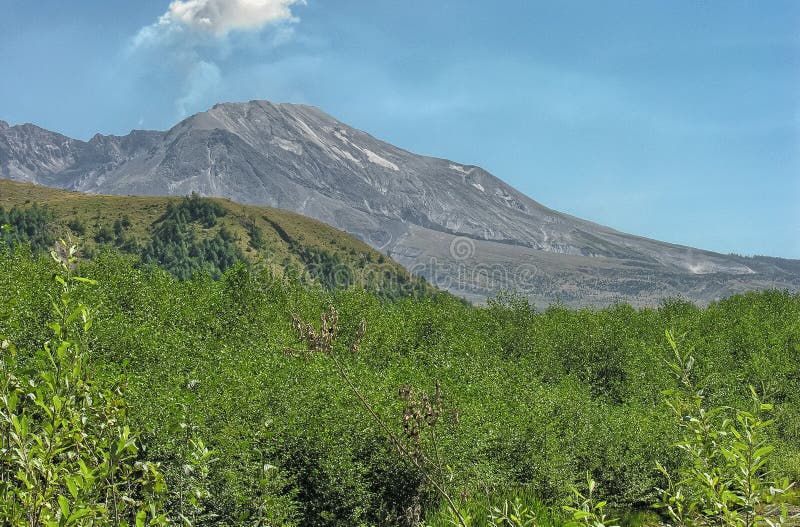 Mount St Helens National Monument, Washington - USA