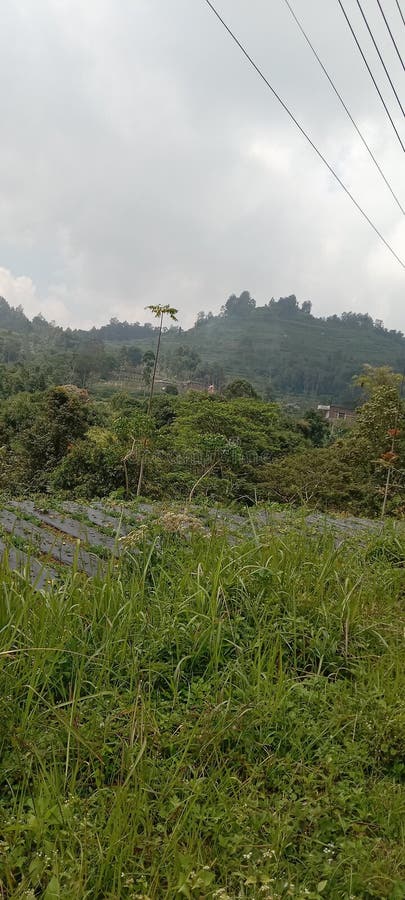 Mountain andong royalty free stock photography