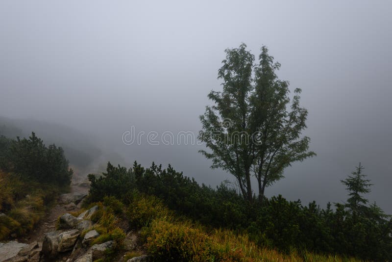 Mountain area view in slovakia