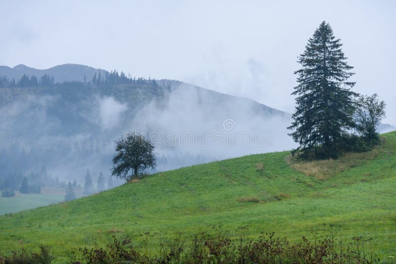 Mountain area view in slovakia