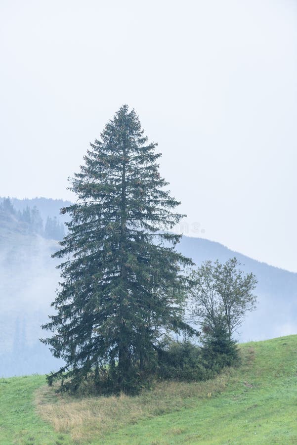 Mountain area view in slovakia