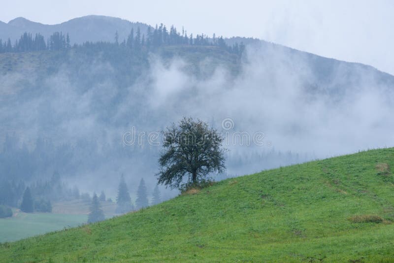 Mountain area view in slovakia