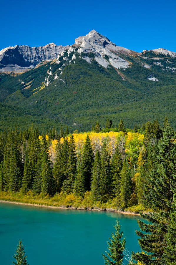 Mountain With Autumn Colour Stock Image - Image of tree, autumn: 11112569