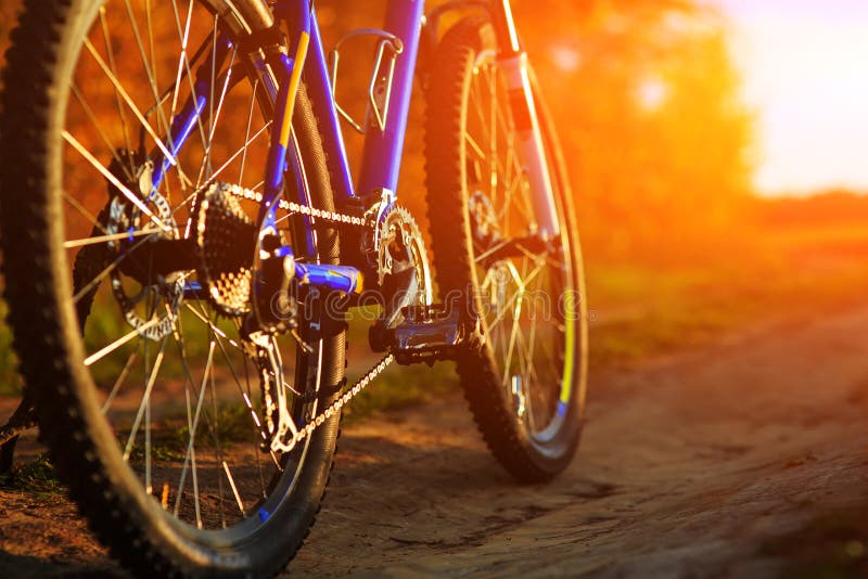 Mountain bicycle at sunny day. Engineer, blue.