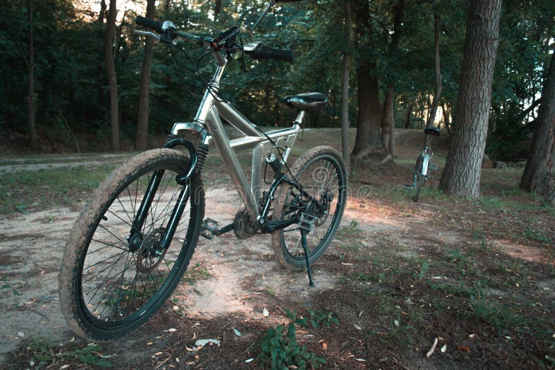 Mountain Bike on the Forest Path. Stock Photo Image of effort, dirt