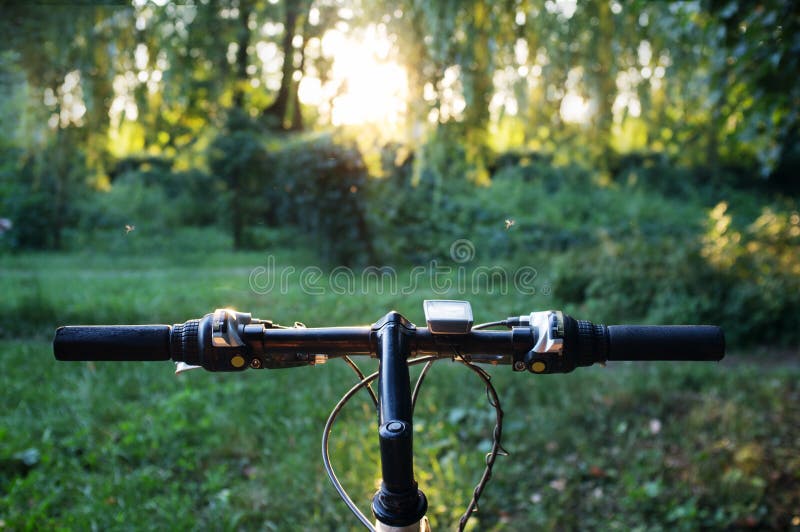 Mountain Bike in Forest on Sunset Stock Image Image of concept