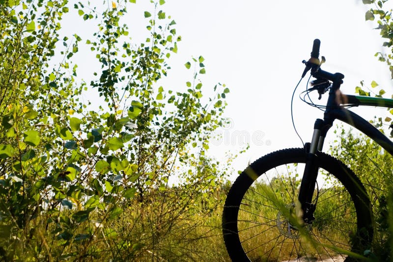 Mountain bike silhouette, ready for ride outdoors