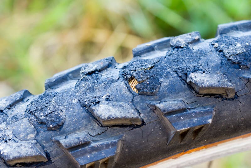 402 Mountain Biking Accident Stock Photos Free & RoyaltyFree Stock