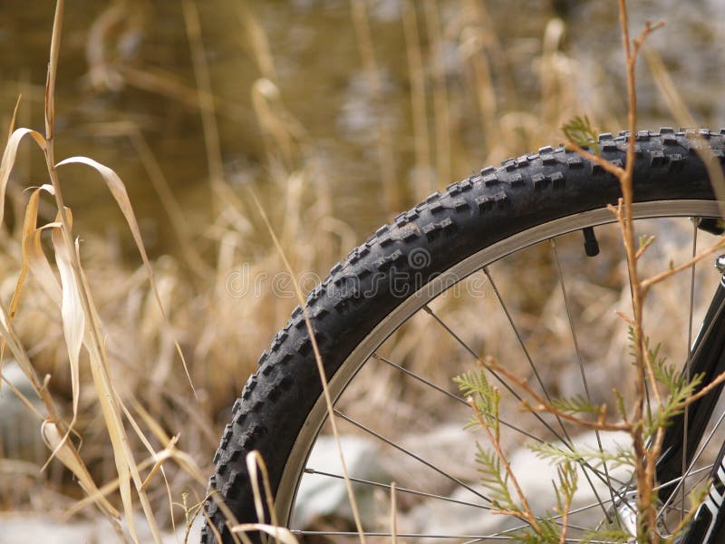 mountain bike wheel