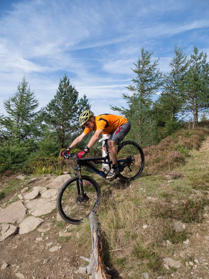 Mountain biker riding trails in Wales
