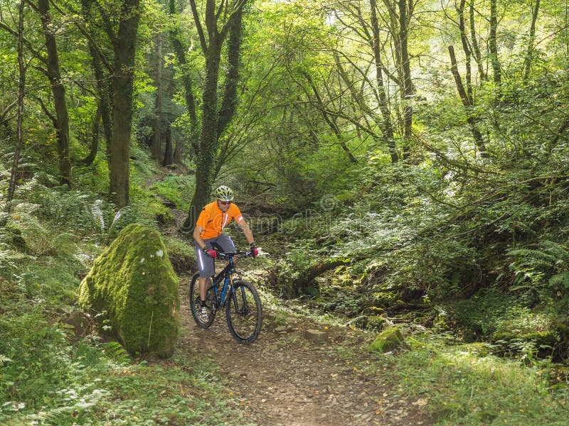 Mountain biker riding trails in Wales