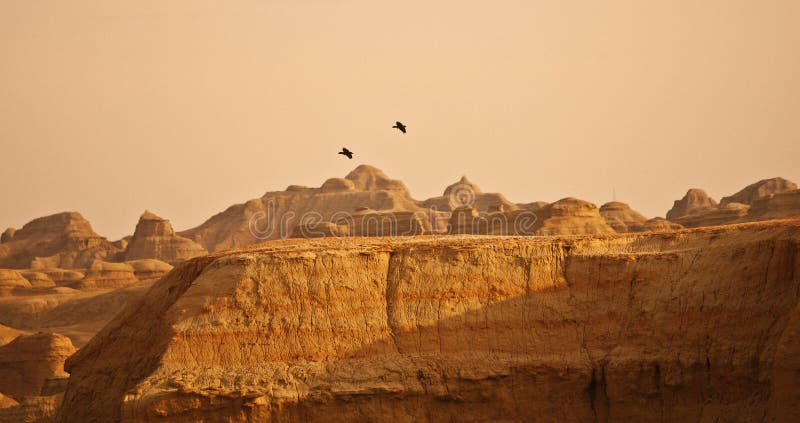 Mountain and birds