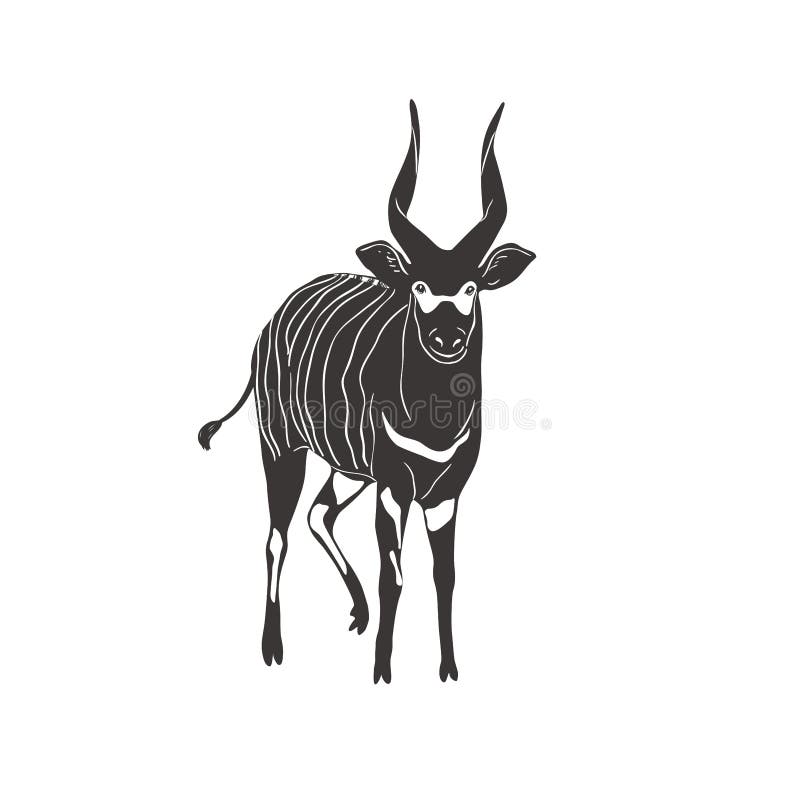 Mountain Bongo on White Background. Vector . Stock Illustration