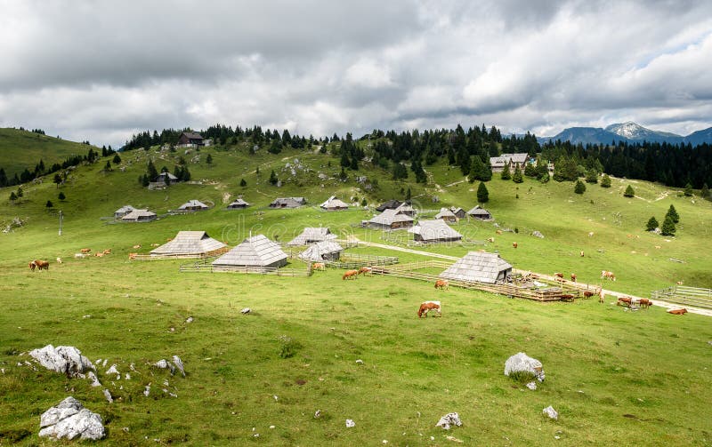 Mountain cottage hut or house on idyllic hill Velika Planina