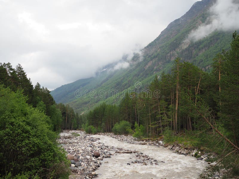 Mountain creek in the Alps at summer. Top down moving forward waterfall. Clear water in the forest. Fountain waterfall clear stock images, royalty-free photos and pictures
