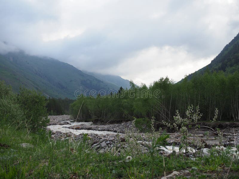 Mountain creek in the Alps at summer. Top down moving forward waterfall. Clear water in the forest. Fountain waterfall clear stock images, royalty-free photos and pictures