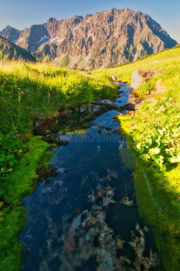 Mountain creek in Kobylia dolina valley in High Tatras during summer